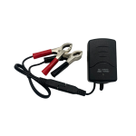 Commercial battery charger